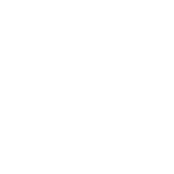 Aluminium Ingot