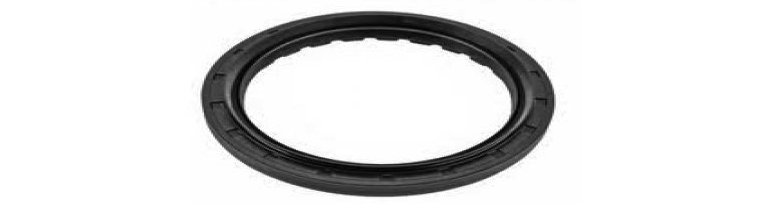 Sealing Ring